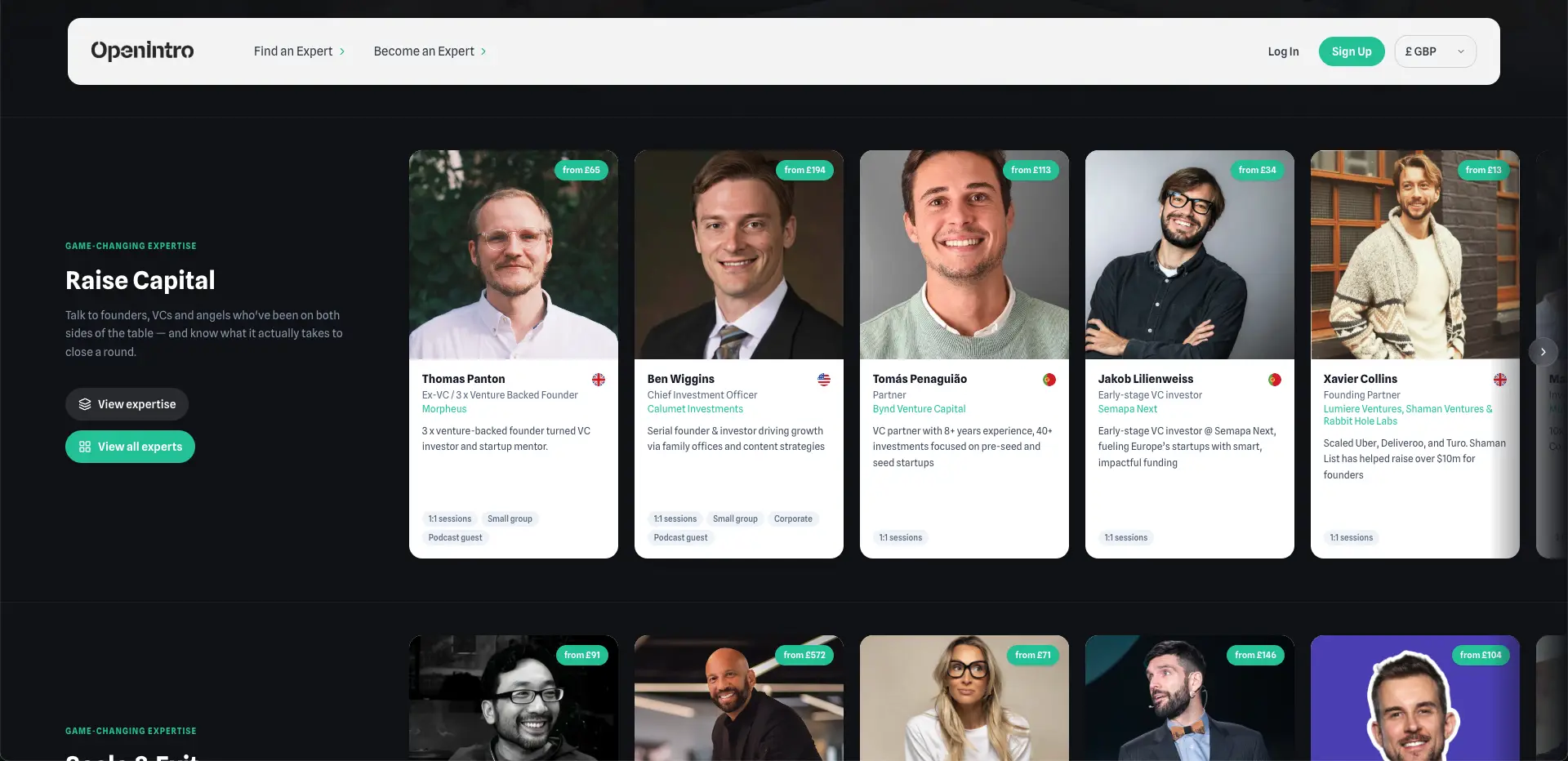 screenshot of openintro website seo case study